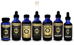 Heal & Seal the Gut Protocol