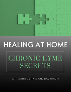 Healing at Home: Chronic Lyme Secrets E-Book