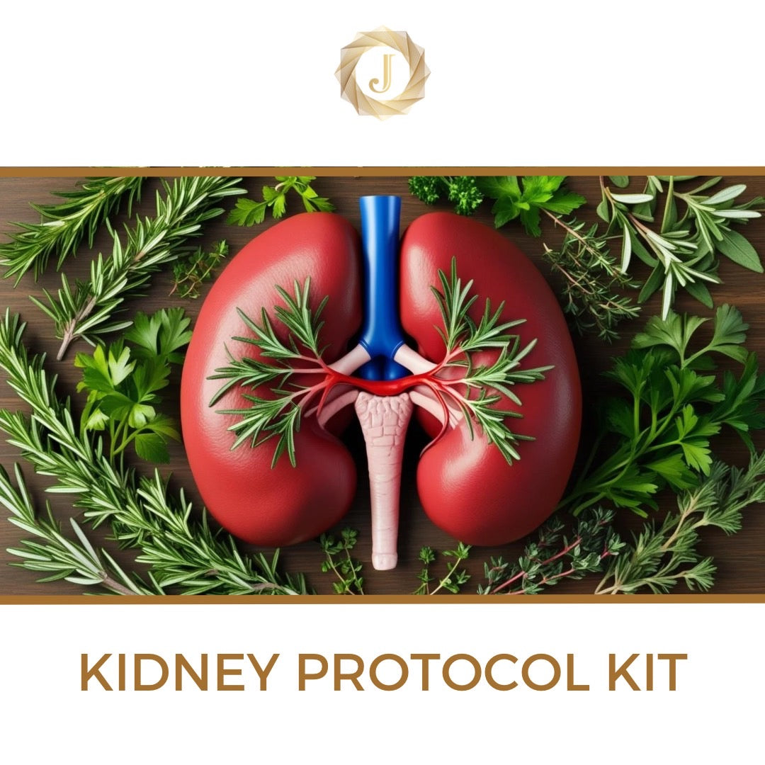 Kidney Kit Kidney Protocol Kit – Jernigan Nutraceuticals