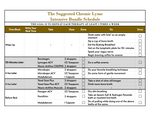 Chronic Lyme Intensive Protocol