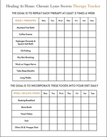 Chronic Lyme Intensive Protocol