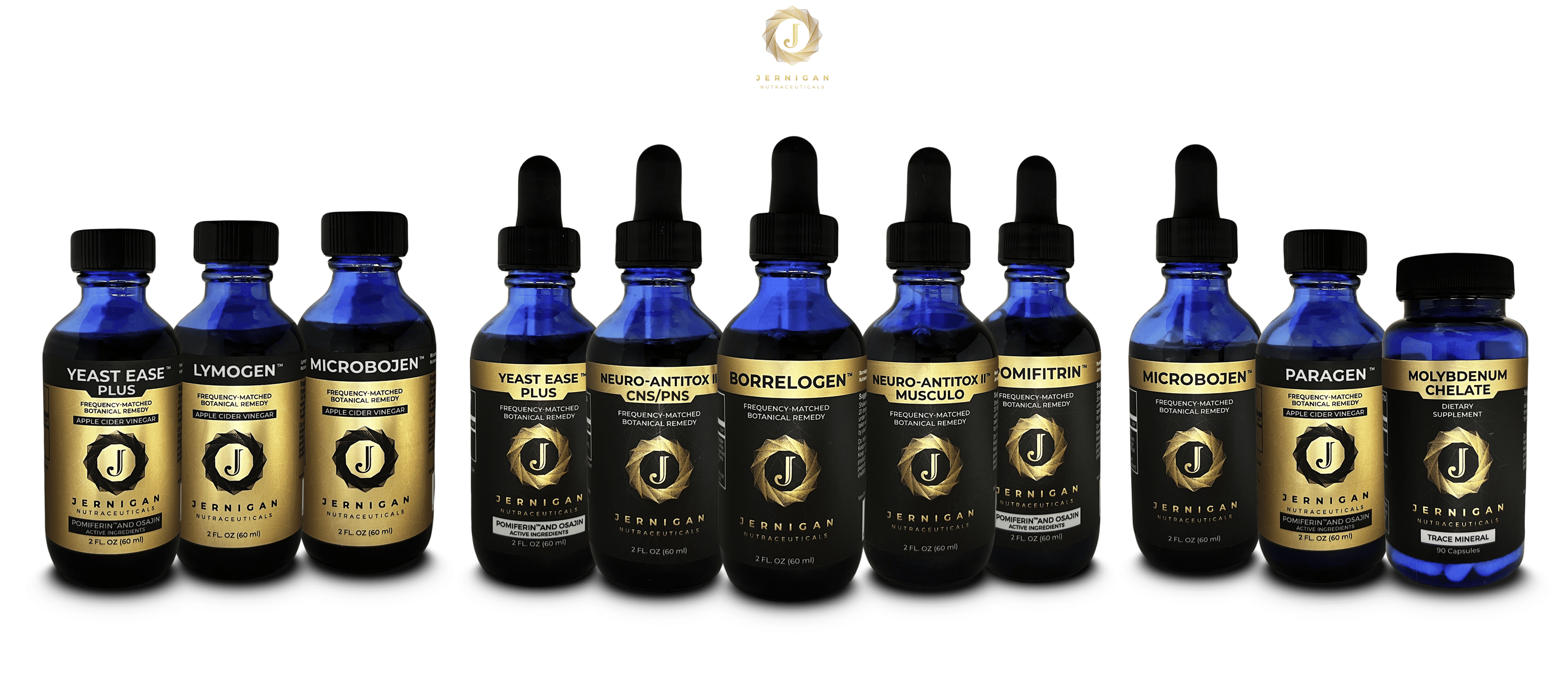 Chronic Lyme Intensive Protocol