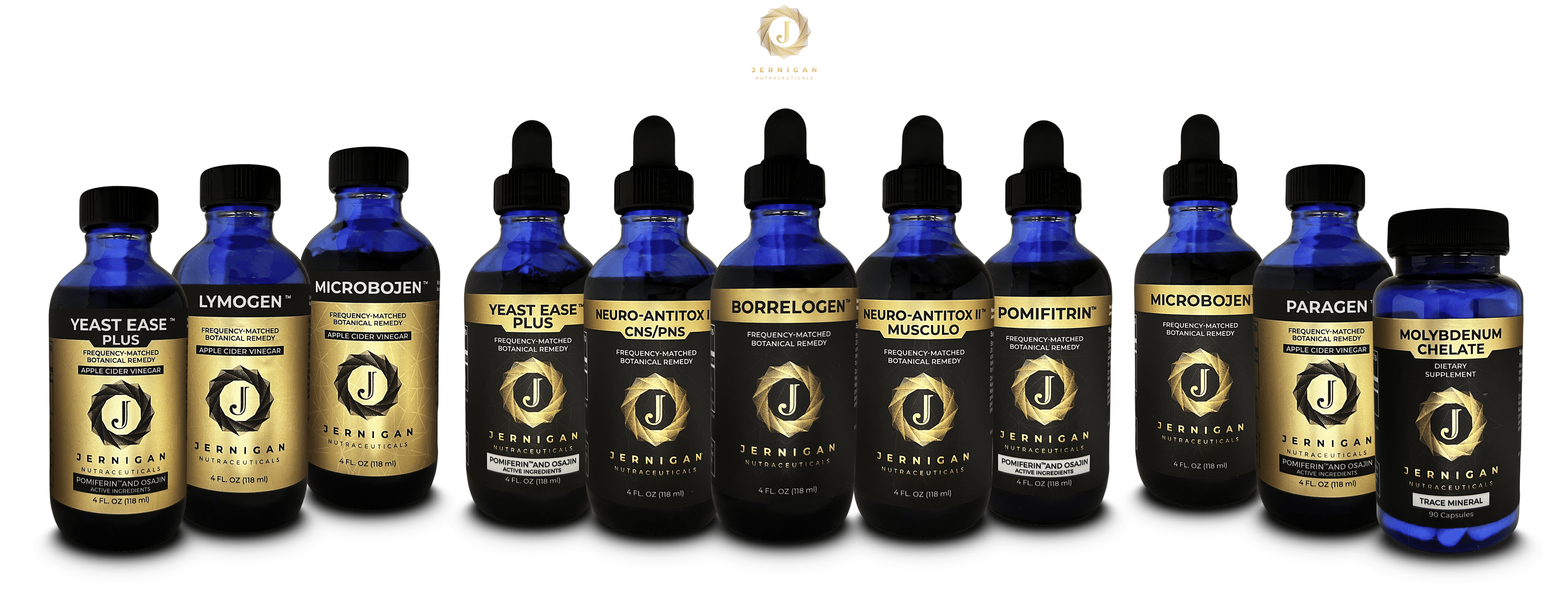 Chronic Lyme Intensive Protocol